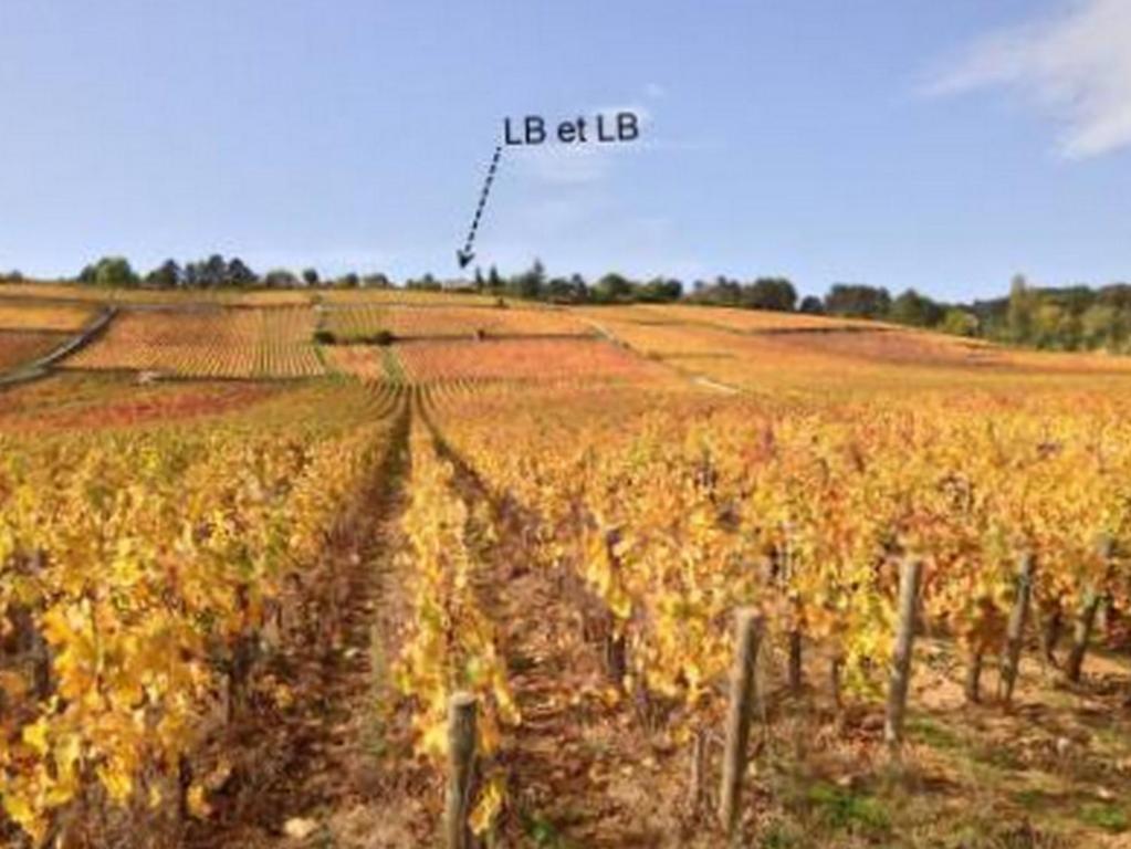 Lb Et Lb Bed & Breakfast Beaune  Exterior photo